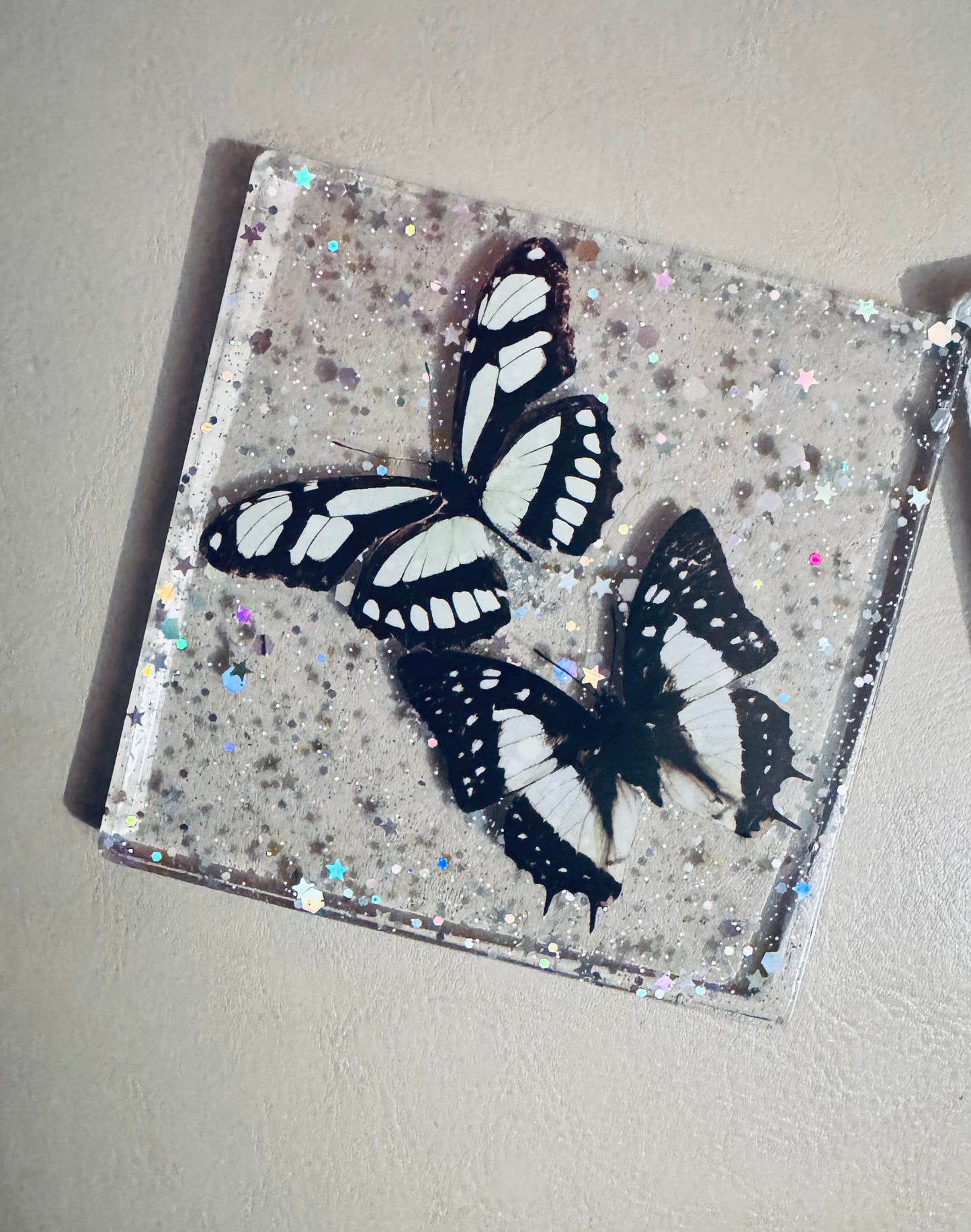 Butterfly Table Coaster set