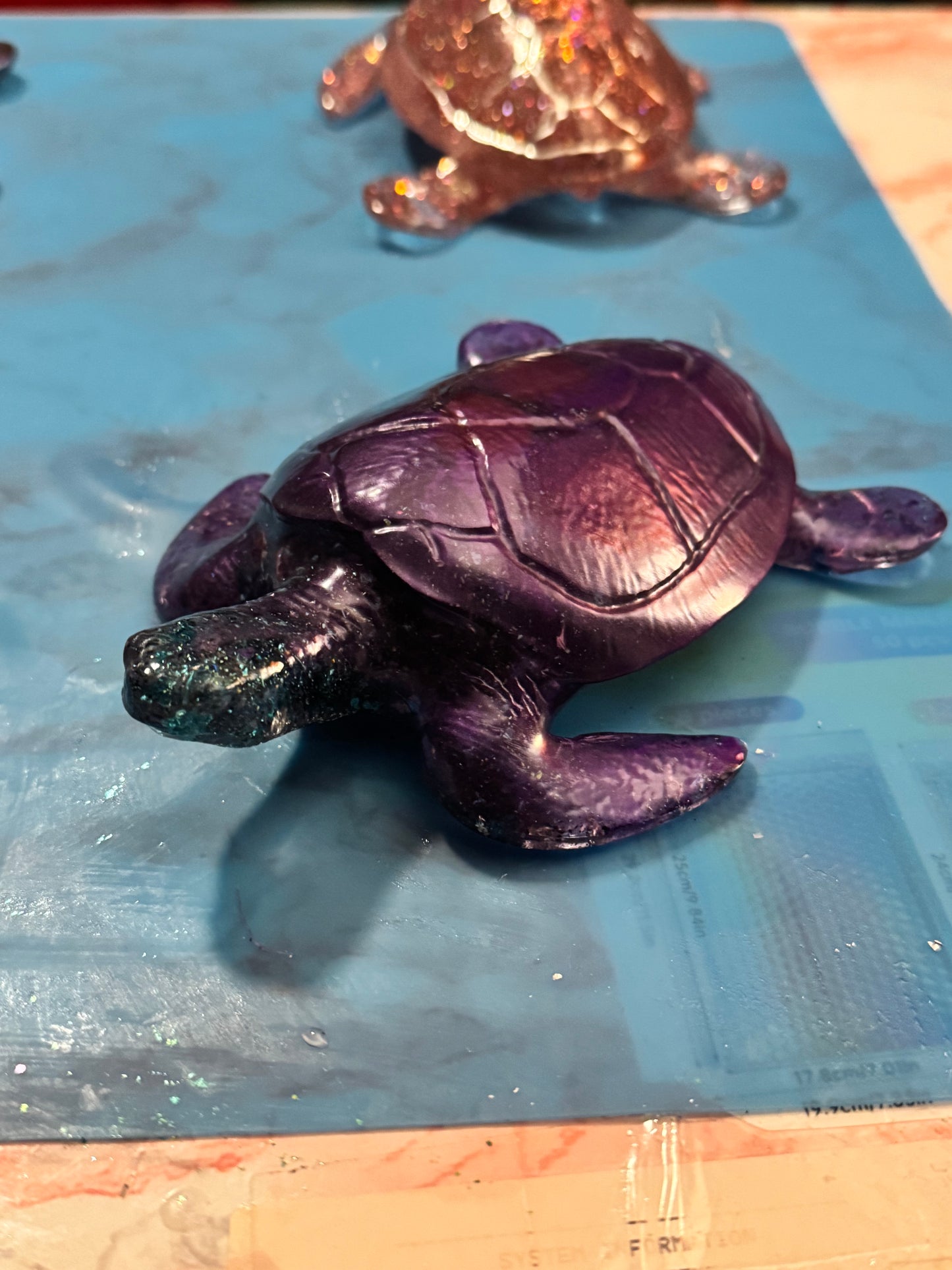 Sea Tortoise