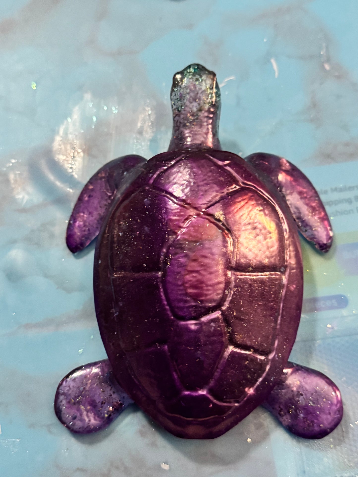 Sea Tortoise